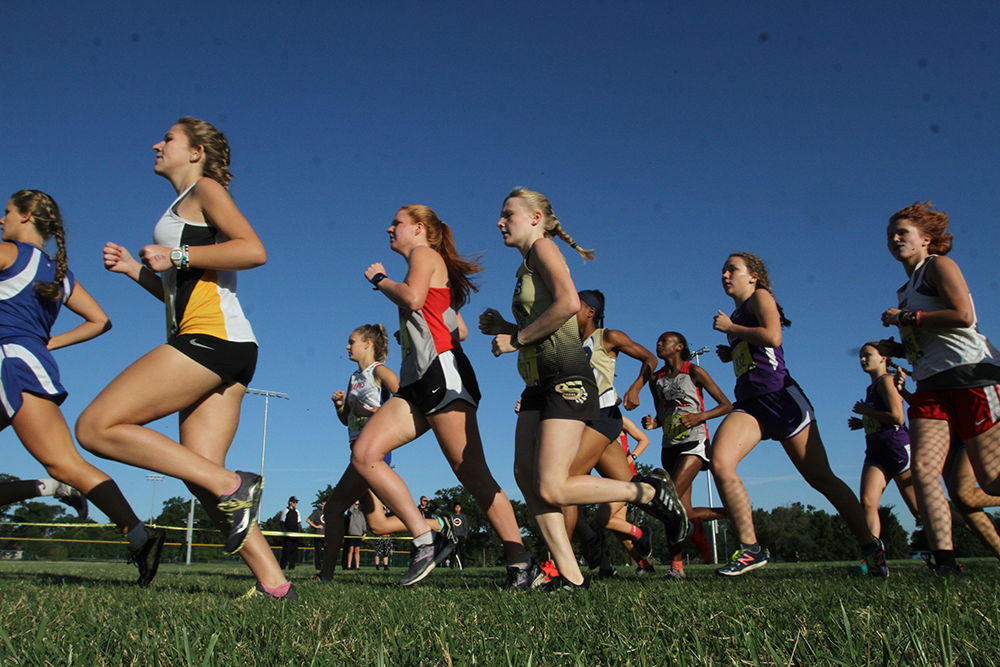 Forest Park Cross Country Festival